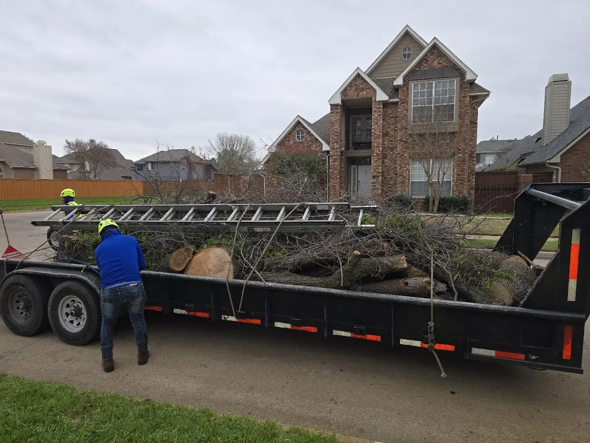 Expert Lot Clearing with proper safety equipment in Minonk